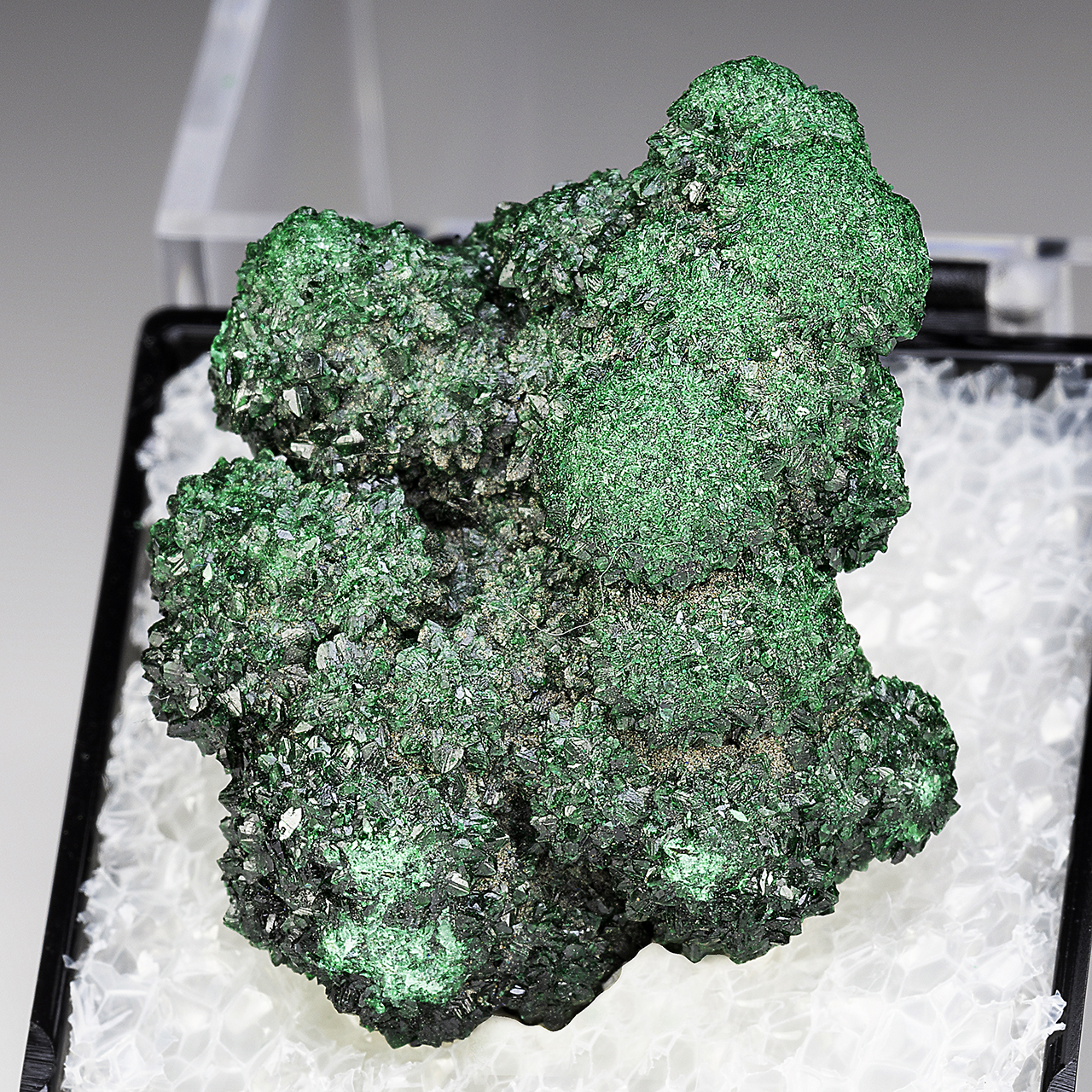 Atacamite - Minerals For Sale - #1114729