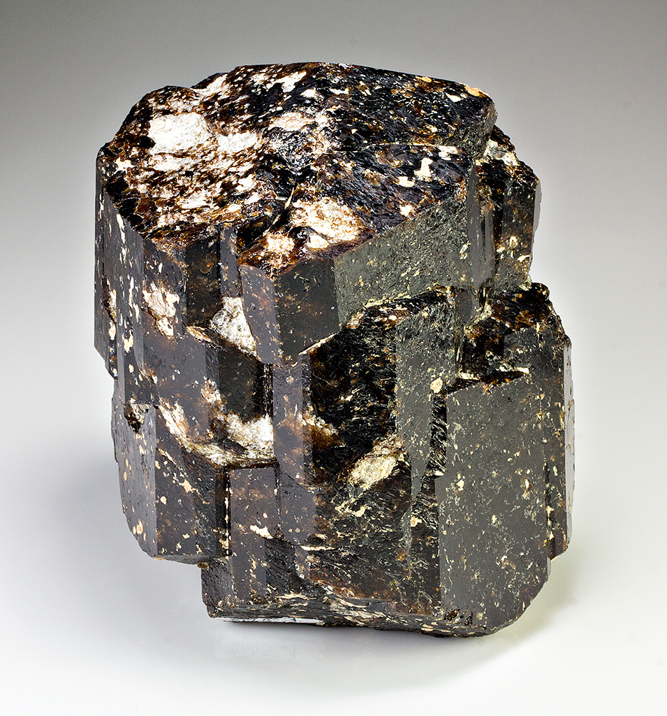 Dravite - Minerals For Sale - #1503398