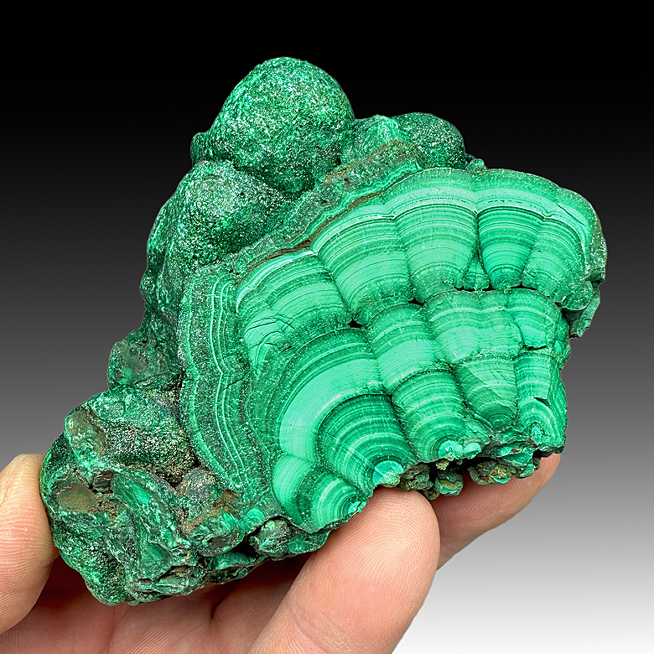 Malachite Minerals For Sale 1652667