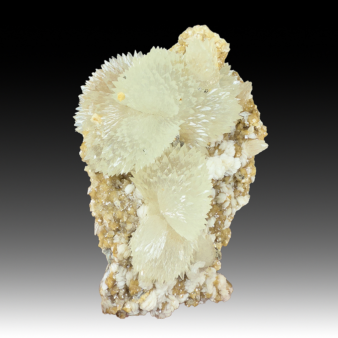 Calcite - Minerals For Sale - #1653807