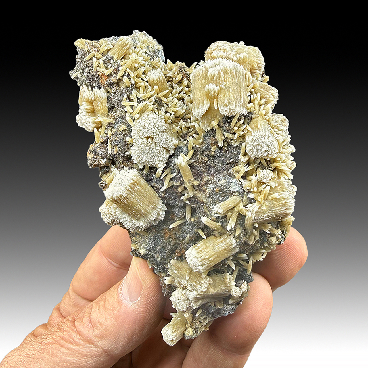 Calcite - Minerals For Sale - #1654987