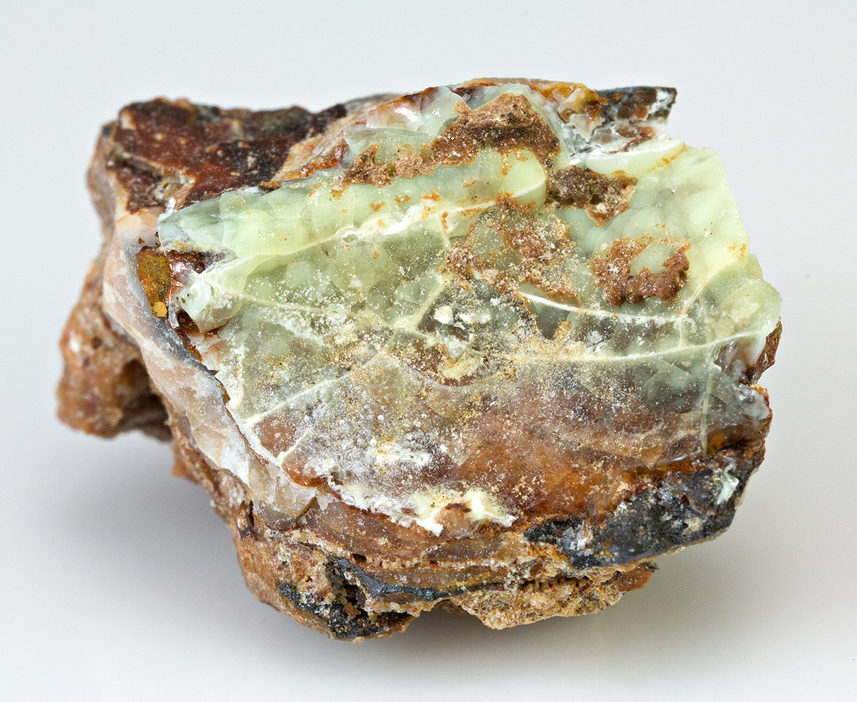 Evansite - Minerals For Sale - #1861083