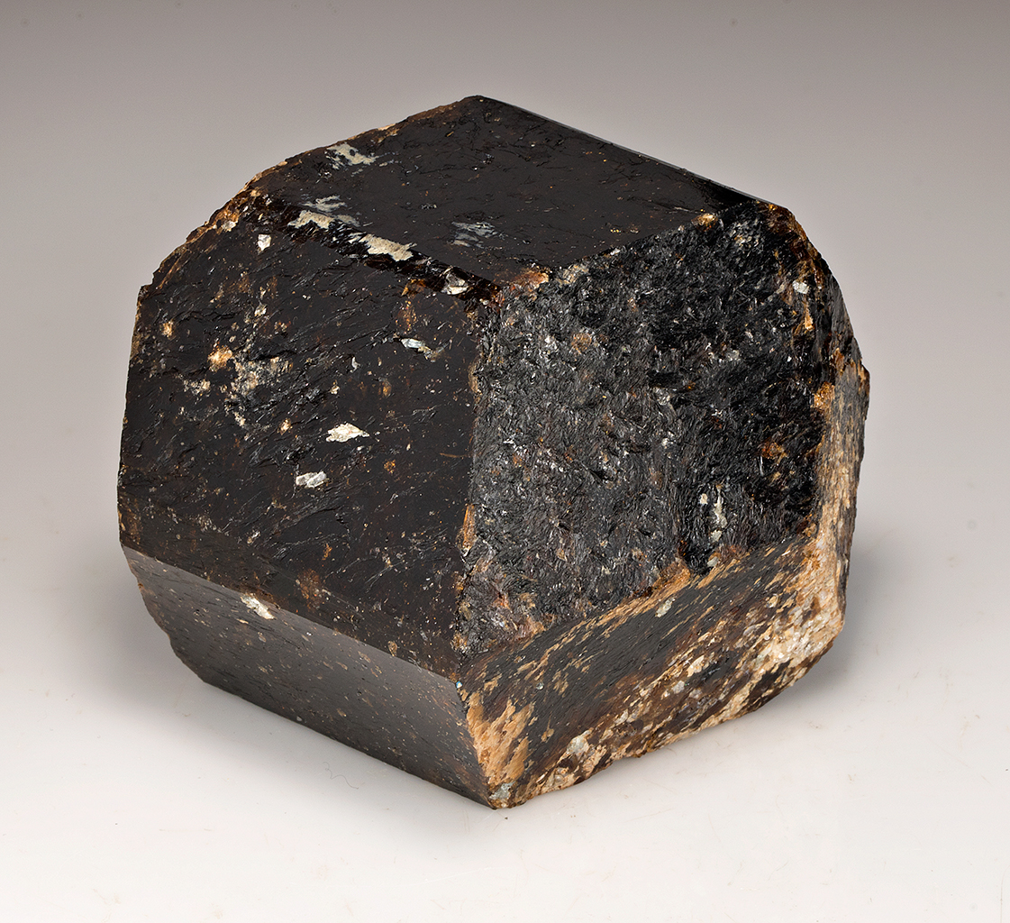 Dravite - Minerals For Sale - #1901058