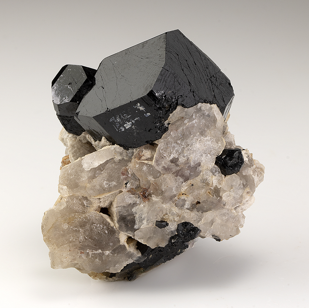 Dravite - Minerals For Sale - #2631790