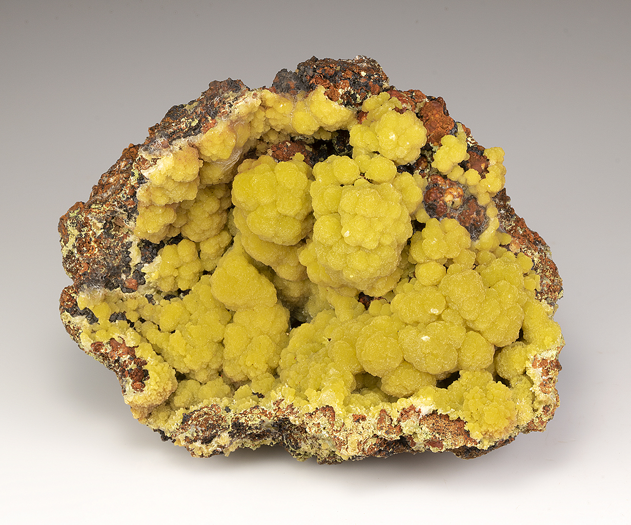 2.3 Yellow-Green Botryoidal Pyromorphite - Ojuela Mine, Mexico (#236823)  For Sale 