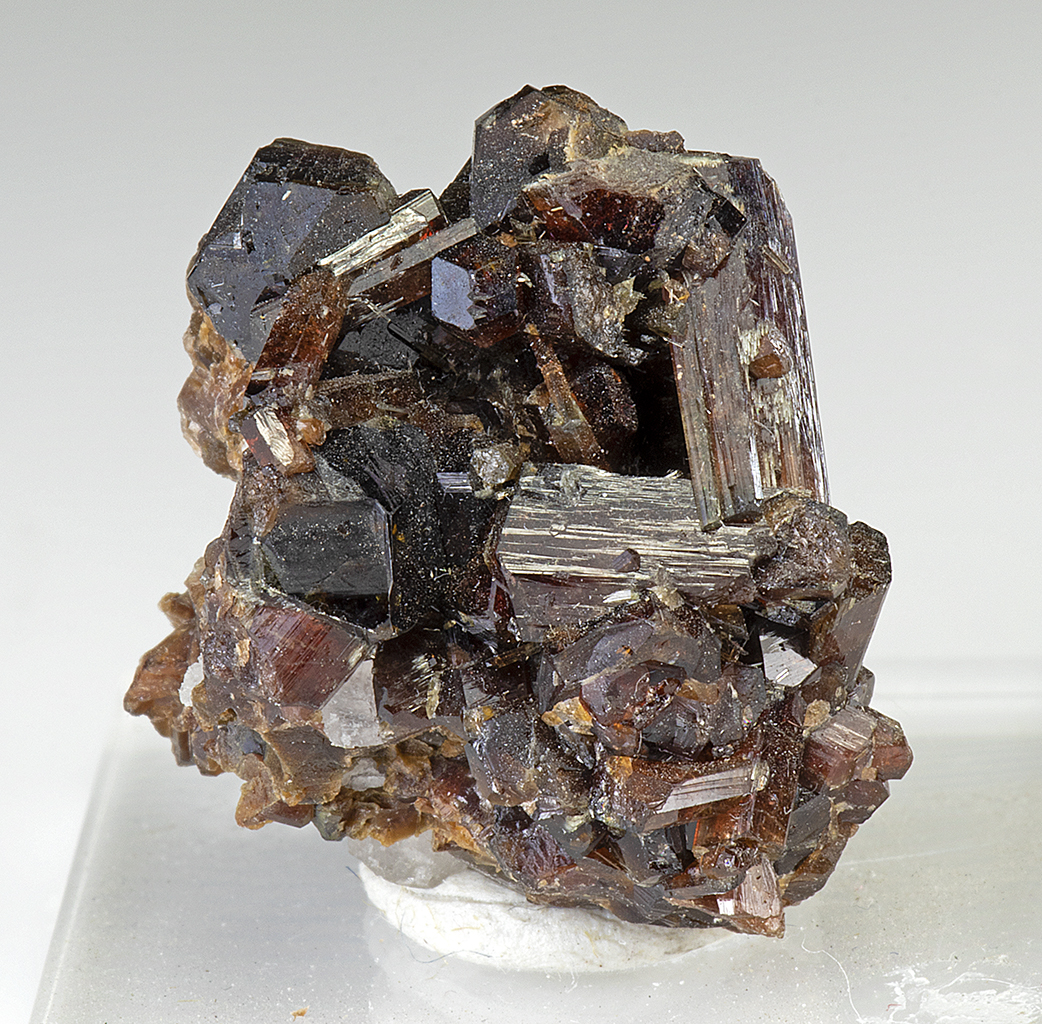 Dravite - Minerals For Sale - #3512367