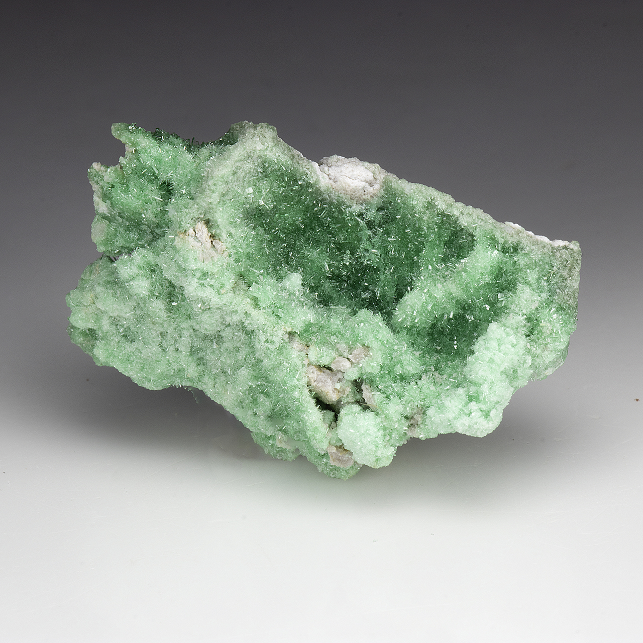Metavariscite - Minerals For Sale - #3773514
