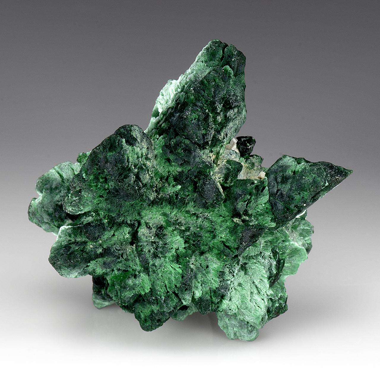 Malachite-after-Azurite - Minerals For Sale - #4162471