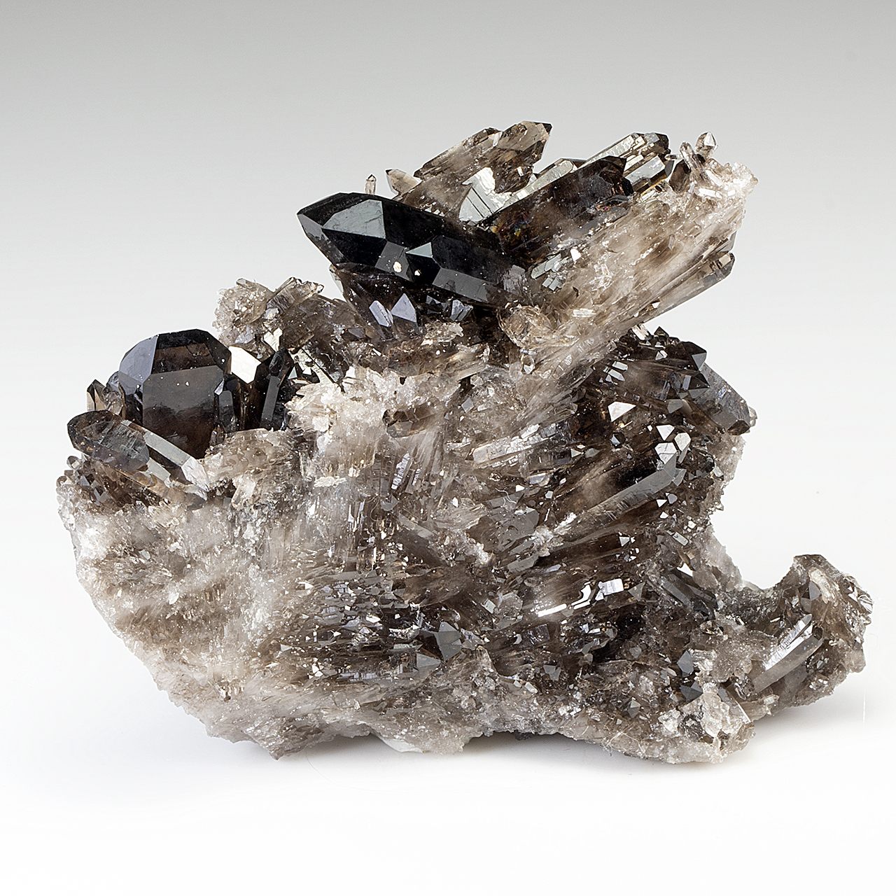 Quartz (irradiated) - Minerals For Sale - #8601138