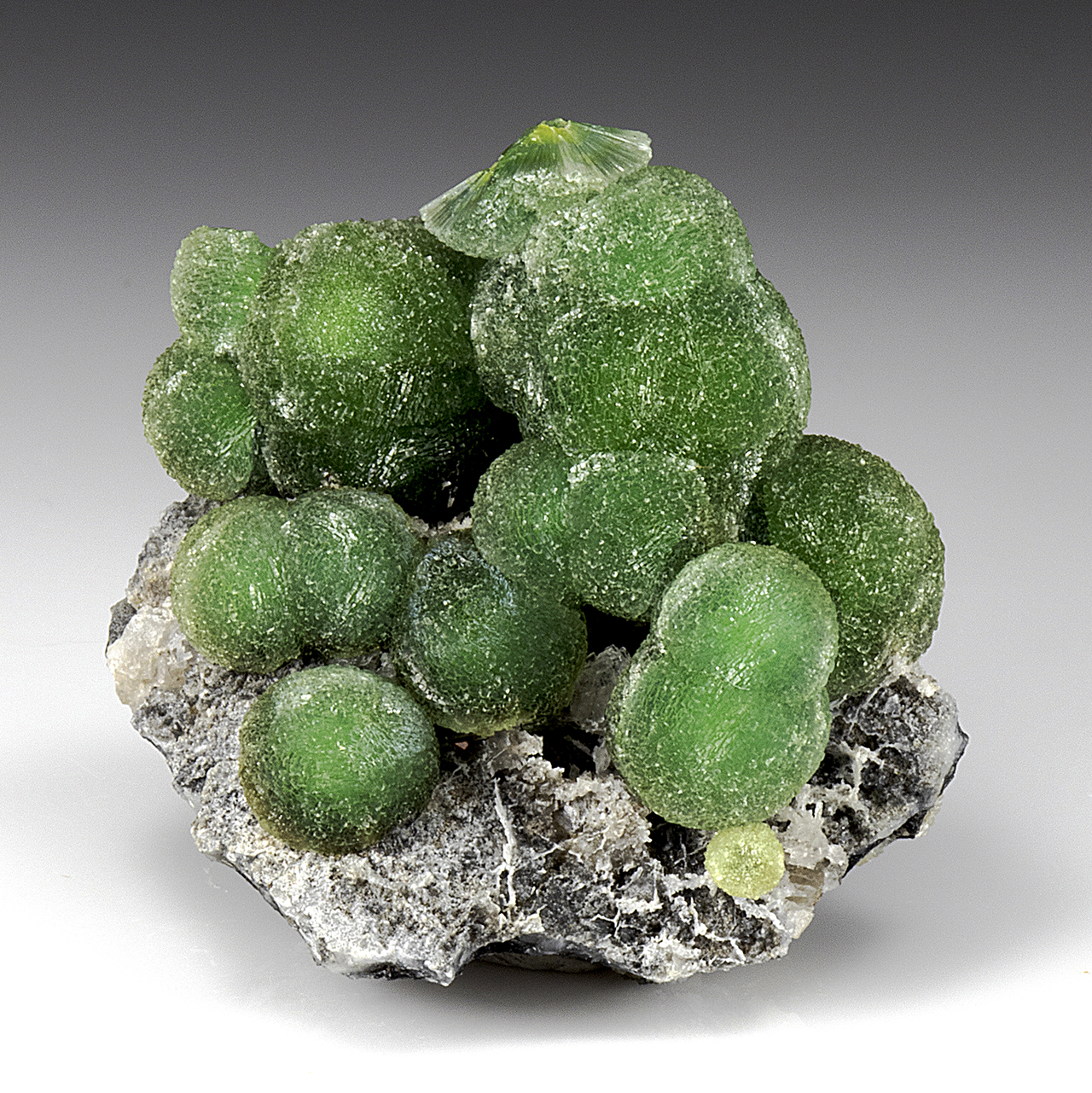 wavellite-minerals-for-sale-8632076