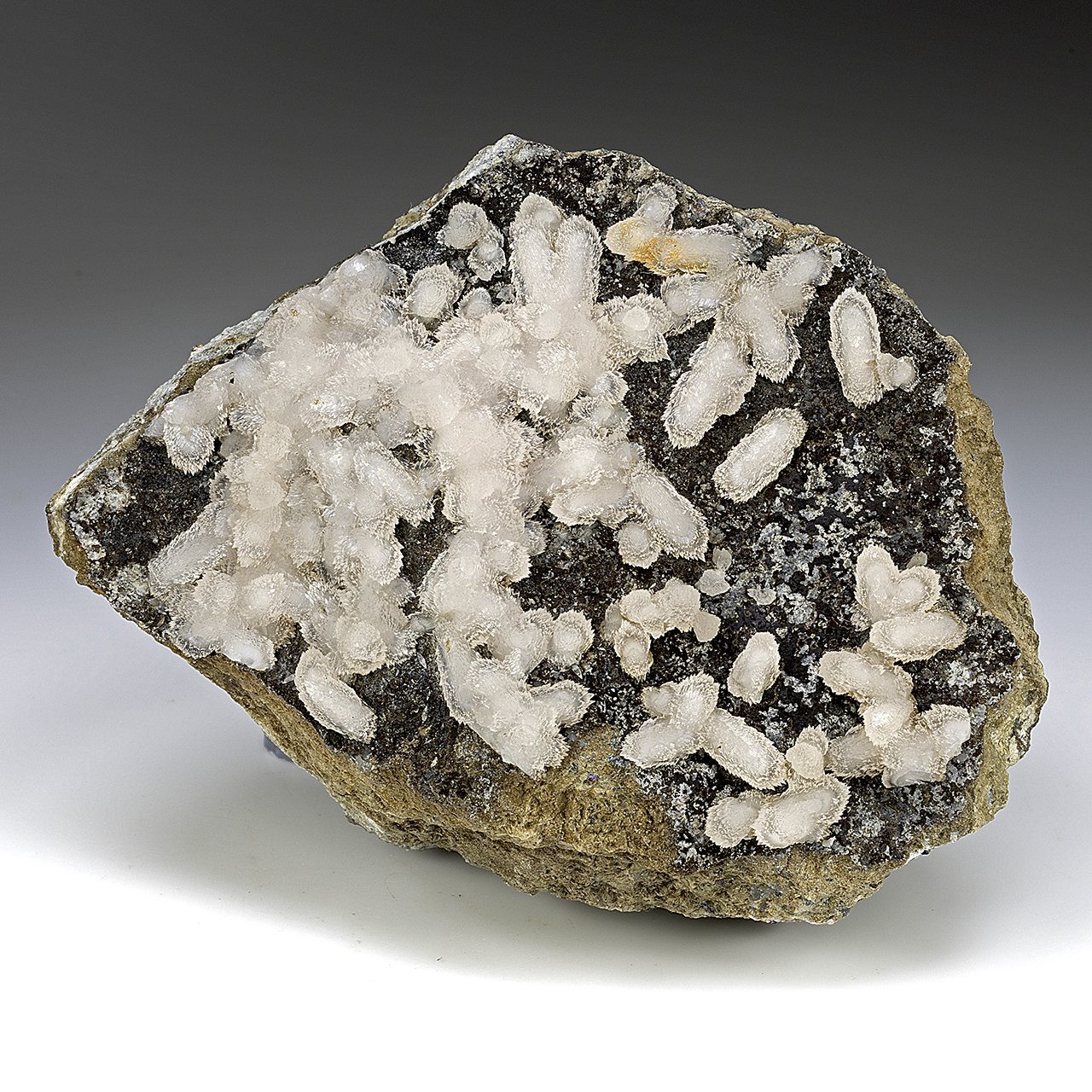 Calcite - Minerals For Sale - #8821618