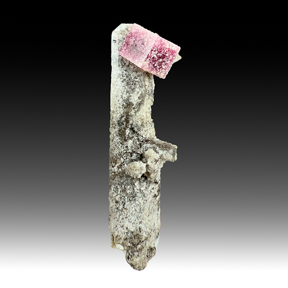 Beryl with Topaz - Minerals For Sale - #1604916