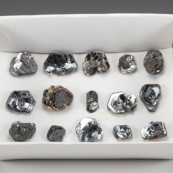 Hematite (Iron Rose) - 15 - Minerals For Sale - #3511925